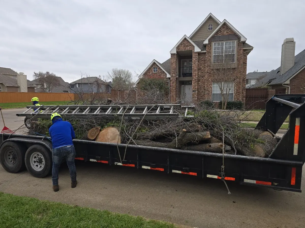 Expert Lot Clearing with proper safety equipment in Wyndmere